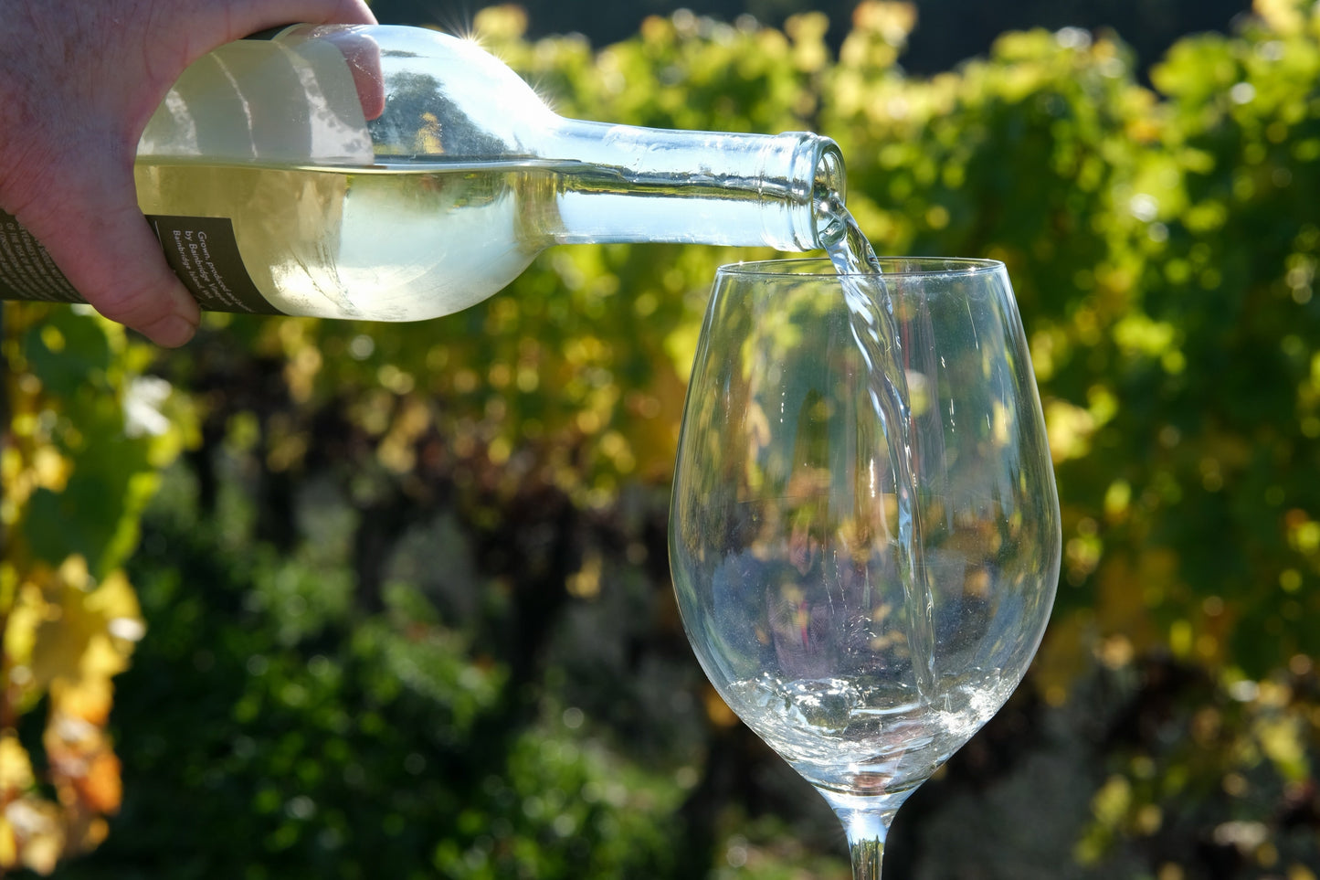 The Best of Both Wine Worlds – European Quality Standards with Artisan California Wine